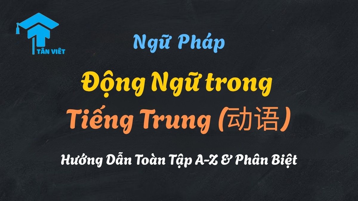 Hướng dẫn làm chủ Động ngữ (动语) và cấu trúc câu trong tiếng Trung.