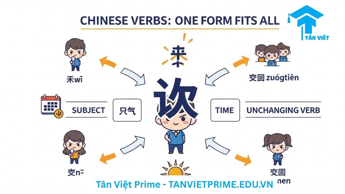 Sơ đồ giải thích các loại động từ trong tiếng Trung, mô tả một mind map với "动词" ở trung tâm và các nhánh tỏa ra minh họa cho động từ hành động, tâm lý, năng nguyện và ly hợp bằng icon chibi, để làm rõ cách phân loại động từ trong ngữ pháp tiếng Hán. [Ngữ pháp tiếng Trung, phân loại động từ].
