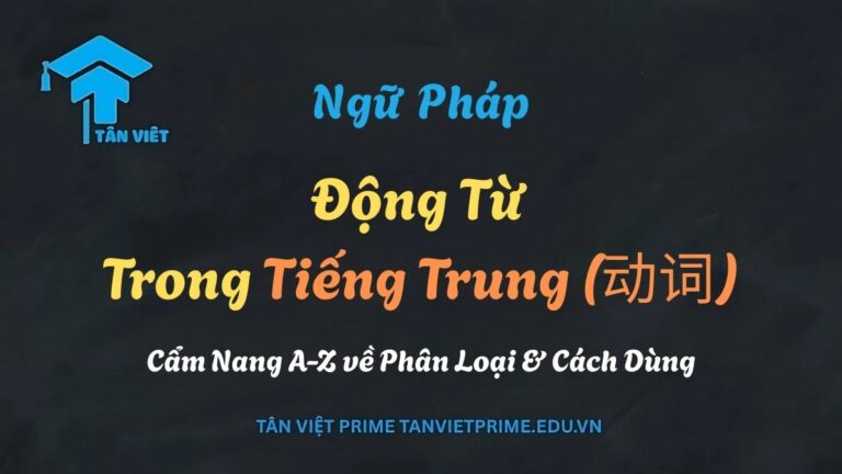 Động Từ Tiếng Trung (动词): Cẩm Nang A-Z về Phân Loại & Cách Dùng
