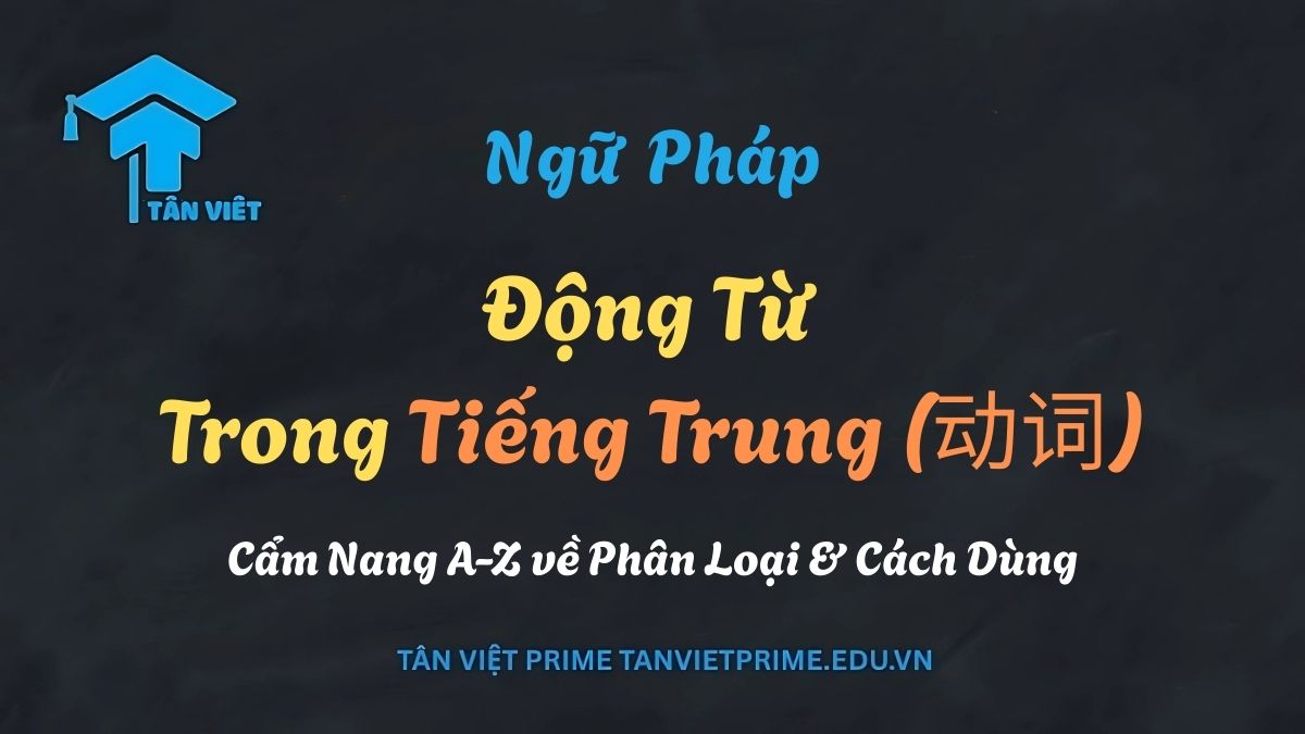 Giáo trình động từ tiếng Trung với các từ vựng phổ biến và ví dụ minh họa trên bàn học, thể hiện sự học tập ngữ pháp tiếng Trung chuyên sâu.