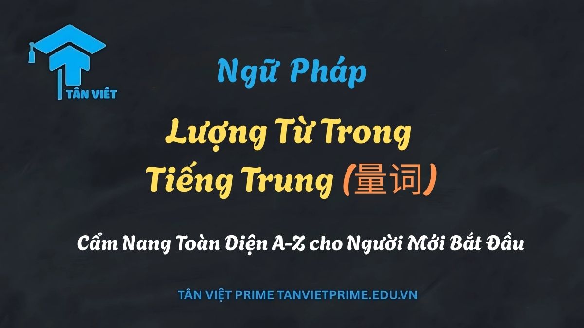 Hình ảnh minh họa cách dùng lượng từ tiếng Trung: ba chú mèo dễ thương với dòng chữ "三只猫" (sān zhī māo), nhấn mạnh sự bắt buộc phải có lượng từ "只" (zhī) khi đếm động vật.