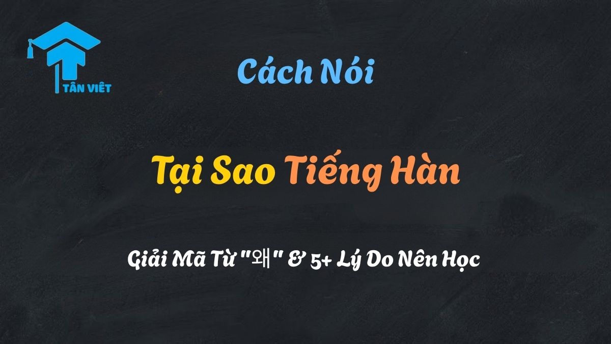 Infographic giải thích các lý do nên học tiếng Hàn và cách dùng từ để hỏi "tại sao" (왜)