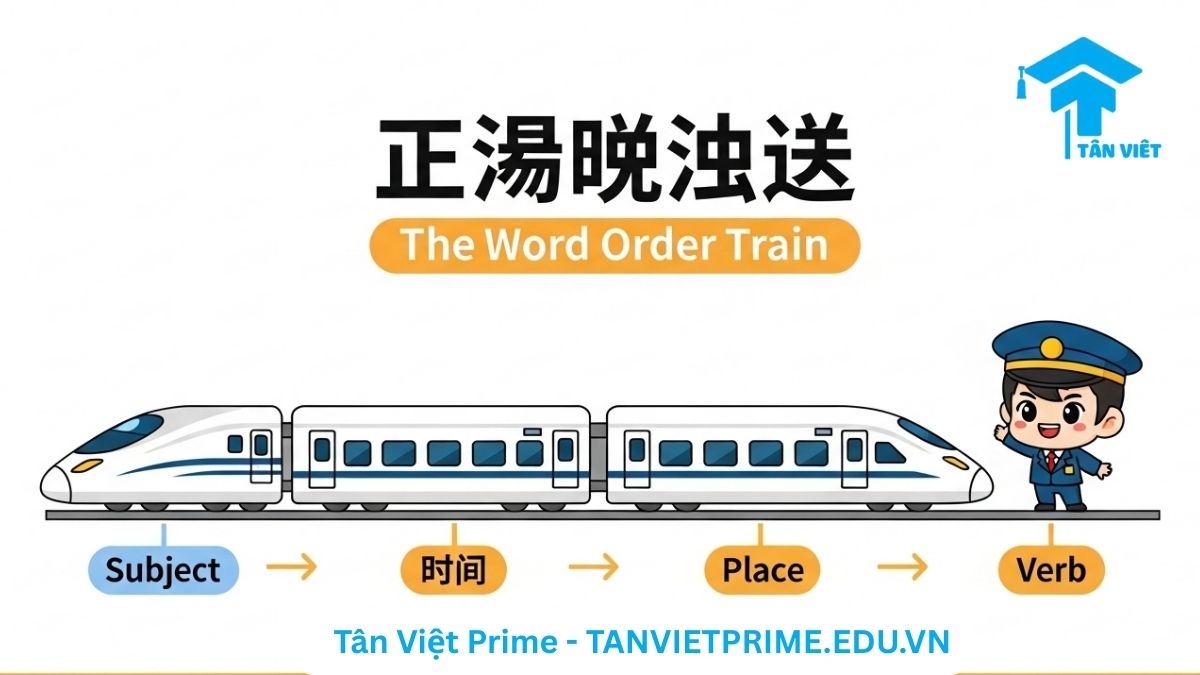 Hình ảnh minh họa giải thích trật tự từ trong tiếng Trung, mô tả một đoàn tàu chibi với các toa tàu tượng trưng cho Chủ ngữ, Thời gian, Nơi chốn và Động từ để làm rõ quy tắc trạng ngữ luôn đứng trước động từ.
