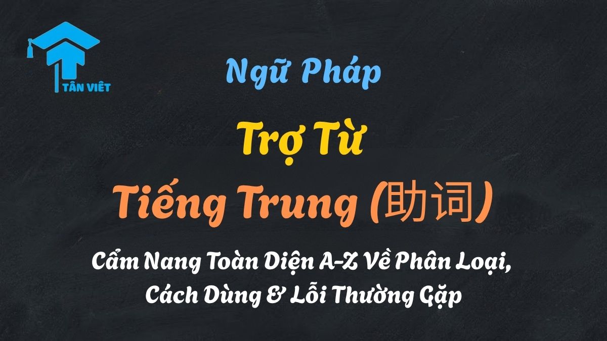 Infographic tổng quan về trợ từ tiếng Trung (助词), giải thích cách phân loại và cách dùng các trợ từ phổ biến như 的, 地, 得.