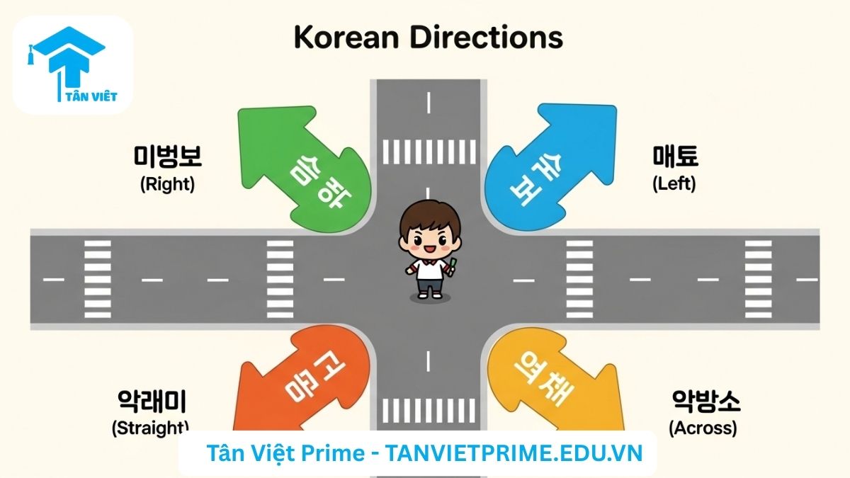 Sơ đồ minh họa giải thích từ vựng chỉ phương hướng tiếng Hàn, mô tả một ngã tư với các mũi tên chỉ các hướng rẽ phải (오른쪽), rẽ trái (왼쪽), và đi thẳng (똑바로) để làm rõ các từ vựng cốt lõi khi nhận chỉ dẫn. Giúp người học nghe hiểu và ghi nhớ từ vựng hiệu quả.