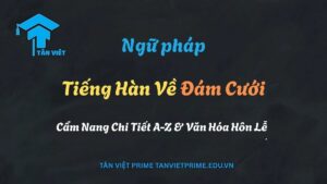 Infographic từ vựng tiếng Hàn về đám cưới, minh họa cô dâu chú rể mặc trang phục truyền thống và hiện đại, giải thích các khái niệm văn hóa quan trọng như 폐백 và 예단.