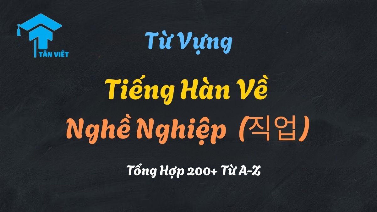 Tổng hợp từ vựng tiếng Hàn về nghề nghiệp với hình ảnh minh họa bác sĩ, giáo viên và lập trình viên.