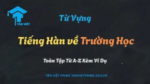Infographic tổng hợp từ vựng tiếng Hàn chủ đề trường học, minh họa các khái niệm như 학교 (trường học), 학생 (học sinh), và 책 (sách)