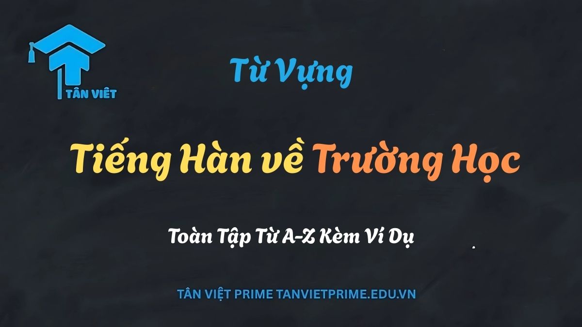 Infographic tổng hợp từ vựng tiếng Hàn chủ đề trường học, minh họa các khái niệm như 학교 (trường học), 학생 (học sinh), và 책 (sách)