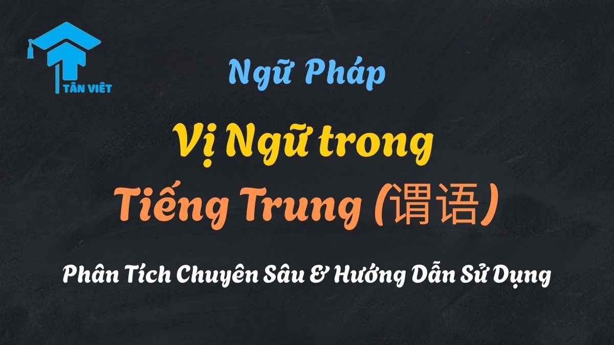 Làm Chủ Vị Ngữ (谓语) trong Tiếng Trung: Chìa Khóa Xây Dựng Câu Chuẩn