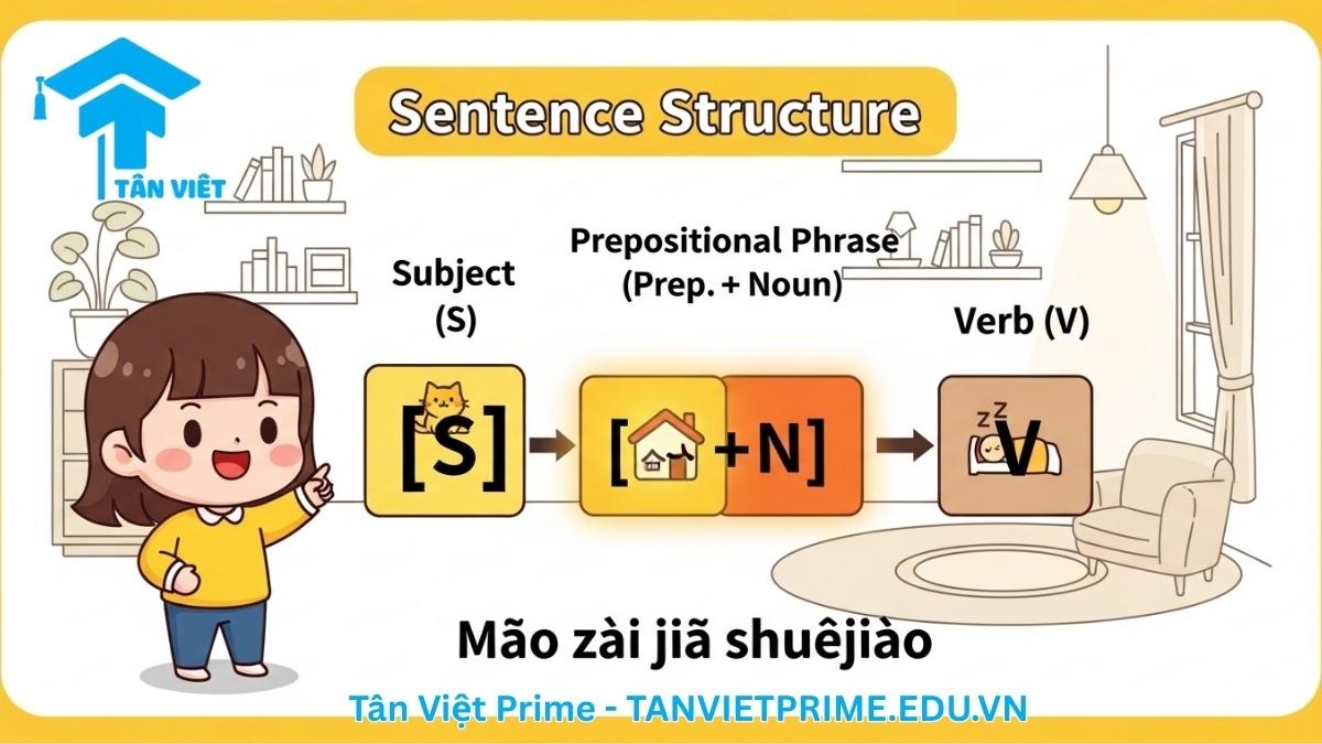 Hình ảnh minh họa giải thích vị trí của cụm giới từ trong câu tiếng Trung, mô tả một nhân vật chibi đang sắp xếp các khối cấu trúc câu S + [Giới từ + N] + V để làm rõ quy tắc ngữ pháp quan trọng: cụm giới từ đứng trước động từ.