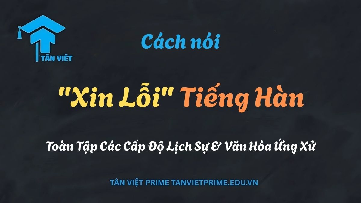 Cách Nói "Xin Lỗi" Tiếng Hàn? Toàn Tập Các Cấp Độ Lịch Sự & Văn Hóa Ứng Xử 1 Hình ảnh giải thích các cách nói xin lỗi tiếng Hàn phổ biến, bao gồm 죄송합니다 và 미안해요.