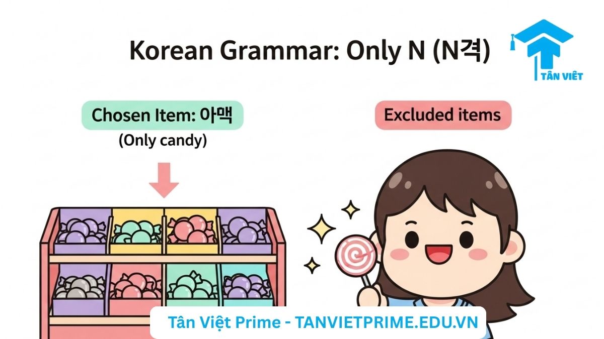 Infographic giải thích ngữ pháp tiếng Hàn N만 (chỉ), mô tả một nhân vật chibi dễ thương chỉ chọn một cây kẹo duy nhất trên kệ, làm rõ khái niệm về sự lựa chọn độc nhất. Hình ảnh giúp ghi nhớ ngữ pháp N만 dễ dàng hơn.