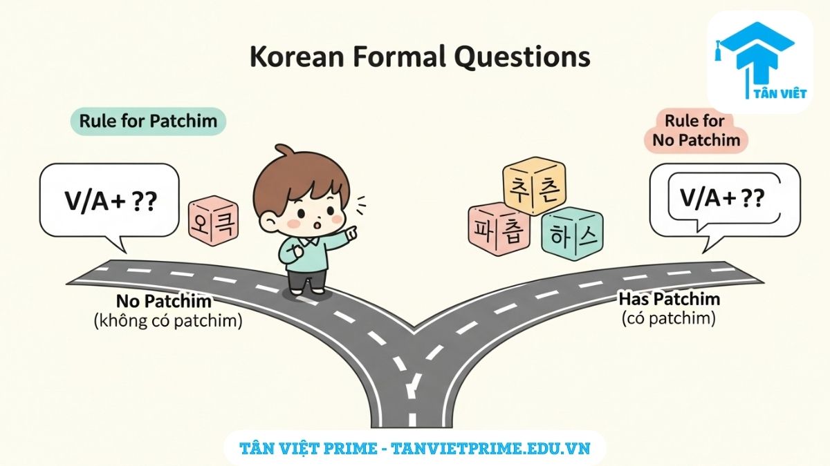 Infographic giải thích ngữ pháp tiếng Hàn -ㅂ/습니까?, mô tả một nhân vật chibi lựa chọn giữa hai con đường dựa trên quy tắc có patchim (phụ âm cuối) và không có patchim, giúp người học ghi nhớ công thức chia đuôi câu hỏi trang trọng.