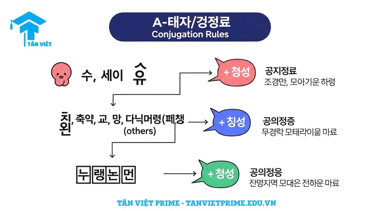 Sơ đồ tư duy (infographic) phong cách Hàn Quốc dễ thương tóm tắt 3 quy tắc chia cơ bản của ngữ pháp A-아/어지다. Hình ảnh phân loại rõ ràng các nhóm nguyên âm (ㅏ/ㅗ, còn lại, 하다) và cách kết hợp tương ứng kèm ví dụ minh họa, giúp ghi nhớ công thức nhanh chóng.