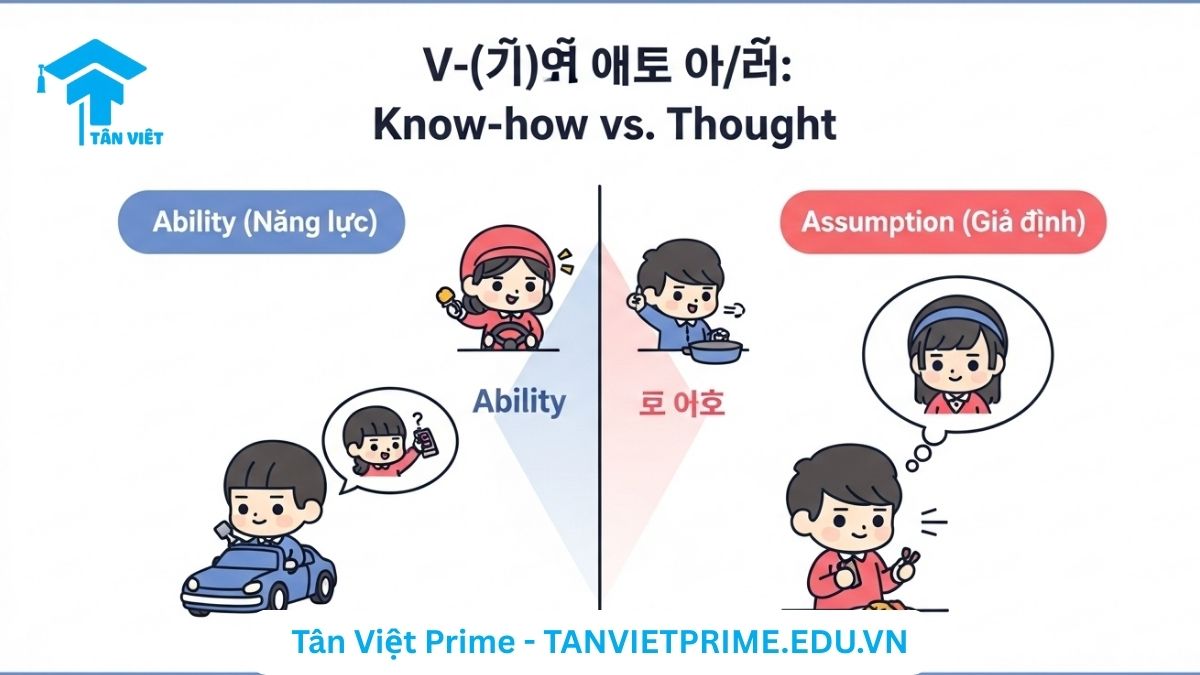 Infographic giải thích ngữ pháp V-(으)ㄹ 줄 알다/모르다, mô tả hai ý nghĩa chính là "biết cách làm gì" (năng lực) và "tưởng là/không biết là" (giả định) thông qua các nhân vật chibi dễ thương, giúp người học dễ dàng nắm bắt khái niệm.