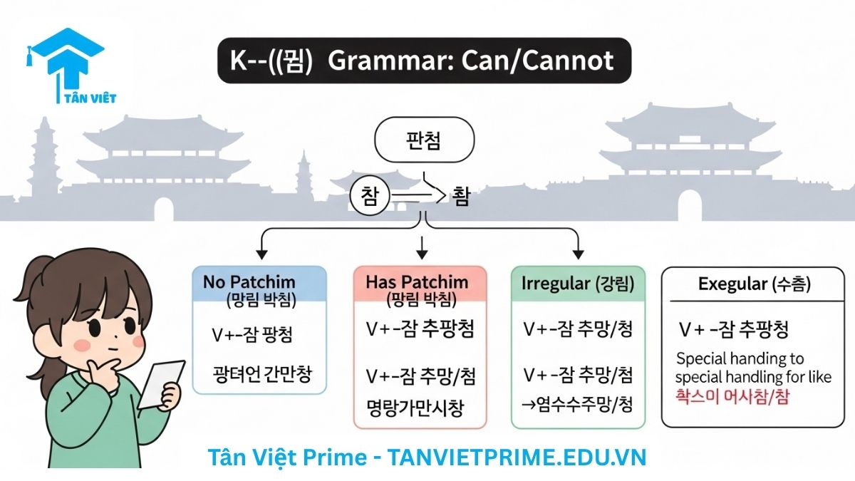 Infographic giải thích ngữ pháp tiếng Hàn V-(으)ㄹ 수 있다/없다, mô tả một sơ đồ hướng dẫn cách chia động từ có patchim, không có patchim và bất quy tắc. Giúp người học áp dụng công thức một cách chính xác.