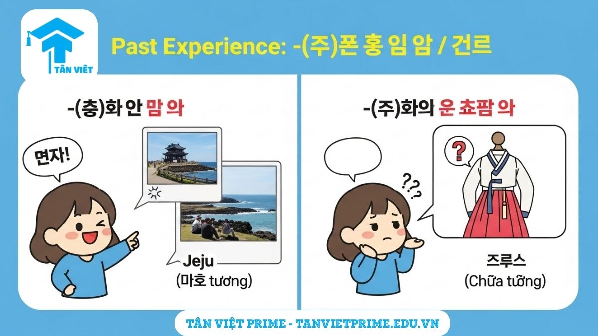 Infographic giải thích ngữ pháp tiếng Hàn -(으)ㄴ 적이 있다/없다, mô tả nhân vật chibi có kinh nghiệm (chỉ vào ảnh Jeju) và chưa có kinh nghiệm (bên cạnh ô trống) để làm rõ cách nói "đã từng" và "chưa từng".