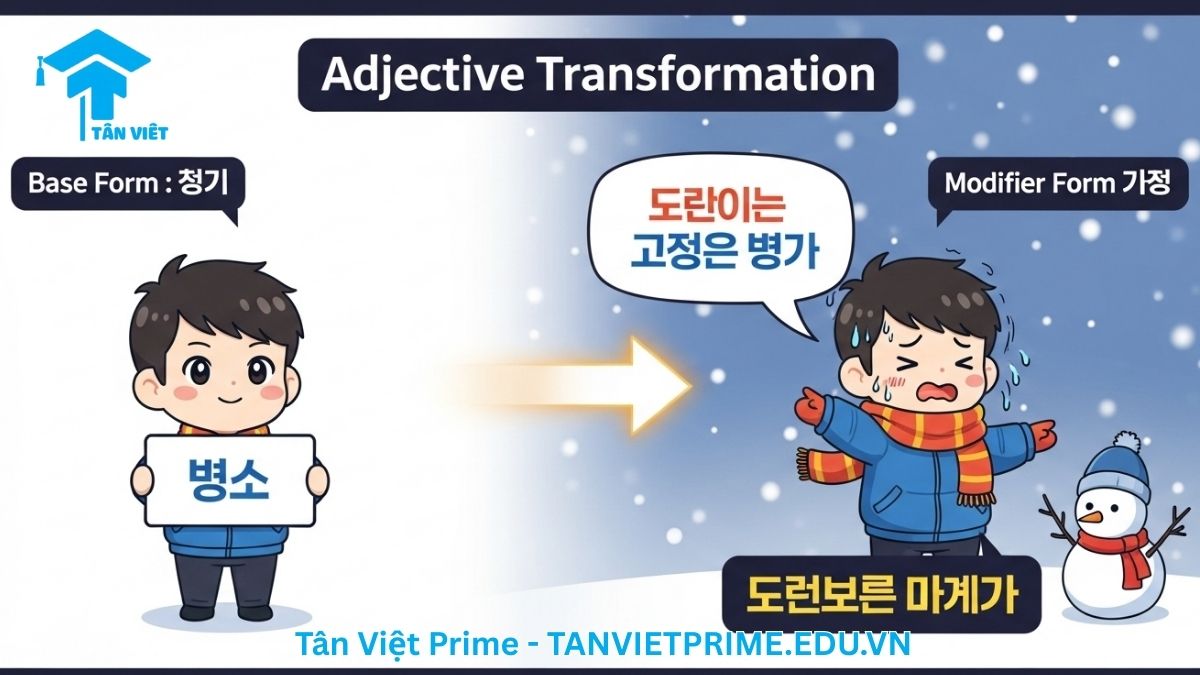 Infographic so sánh sự khác biệt giữa định ngữ của tính từ (A + -(으)ㄴ) và định ngữ của động từ (V + -(으)ㄴ), mô tả hai tình huống khác nhau (trạng thái hiện tại và hành động quá khứ) để làm rõ ý nghĩa của cùng một hậu tố.