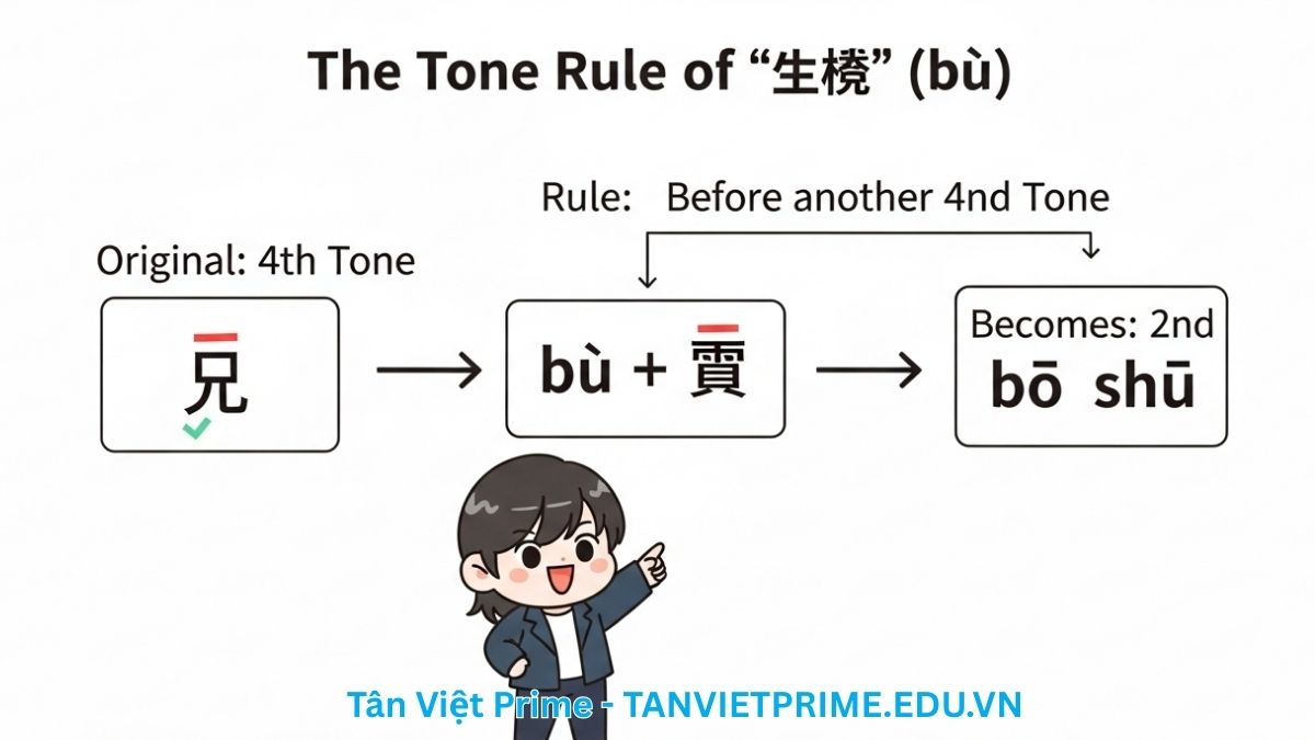 Infographic giải thích quy tắc biến điệu của chữ "不" (bù) trong tiếng Trung, mô tả một nhân vật chibi chỉ vào sơ đồ giải thích khi nào "不" (thanh 4) đổi thành "bú" (thanh 2) kèm ví dụ "bú shì" để làm rõ cách phát âm chính xác và tự nhiên. Giúp người học tránh lỗi sai phát âm tiếng Trung phổ biến.