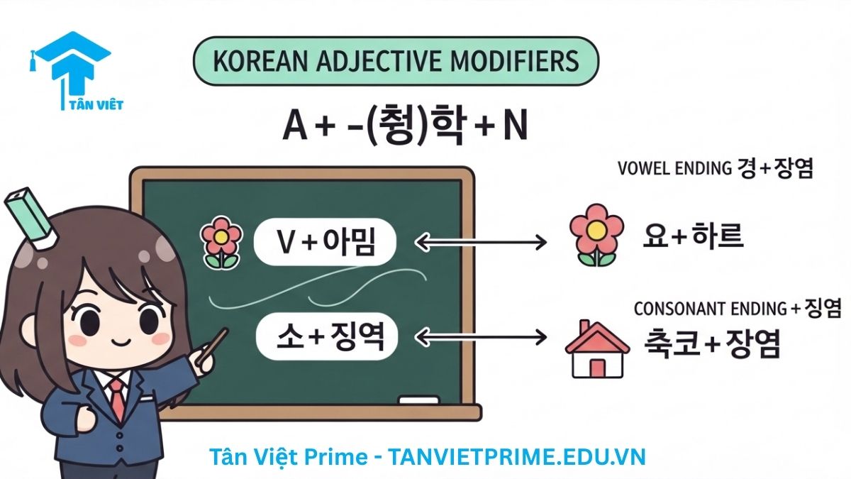 Hình ảnh minh họa quá trình biến đổi của tính từ bất quy tắc '춥다' (lạnh) thành định ngữ '추운' để làm rõ cách các tính từ thay đổi hình dạng khi bổ nghĩa cho danh từ trong tiếng Hàn.