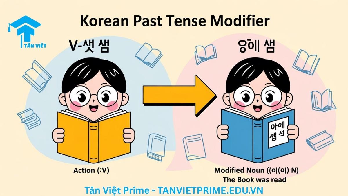Sơ đồ ngữ pháp giải thích cấu trúc định ngữ của động từ thì quá khứ V + -(으)ㄴ + N. Hình ảnh minh họa một nhân vật chibi đọc sách (읽다) và quá trình chuyển đổi thành cụm từ 'sách đã đọc' (읽은 책), làm rõ cách một hành động đã kết thúc bổ nghĩa cho danh từ.