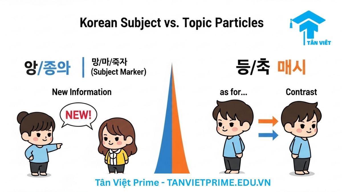 Sơ đồ so sánh giải thích cách phân biệt tiểu từ chủ ngữ 이/가 và tiểu từ chủ đề 은/는, mô tả hai bên so sánh, một bên minh họa 이/가 dùng cho thông tin mới, bên còn lại minh họa 은/는 dùng để đối chiếu để làm rõ sự khác biệt về chức năng giữa việc xác định chủ ngữ và thiết lập chủ đề. Hướng dẫn cách dùng trợ từ 은/는 và 이/가 chính xác.