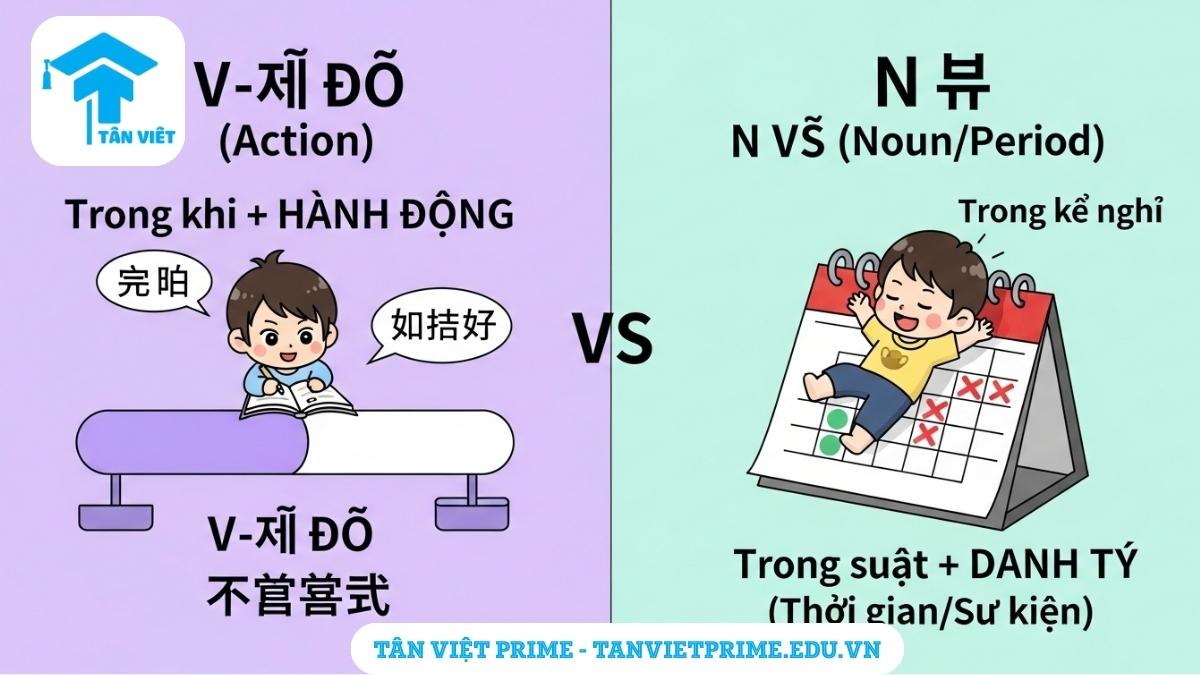 Sơ đồ so sánh ngữ pháp V-는 동안 (đi với động từ) và N 동안 (đi với danh từ) trong tiếng Hàn, mô tả sự khác biệt giữa diễn tả 'trong khi làm gì' và 'trong suốt khoảng thời gian/sự kiện'