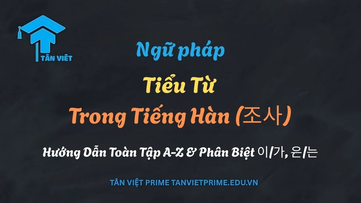 Sơ đồ minh họa giải thích tiểu từ tiếng Hàn (조사), mô tả cách các trợ từ quan trọng như 이/가, 은/는, và 을/를 gắn sau danh từ để xác định vai trò ngữ pháp của chúng (chủ ngữ, chủ đề, tân ngữ). Giúp người học phân biệt các cặp tiểu từ dễ nhầm lẫn và xây dựng câu đúng.