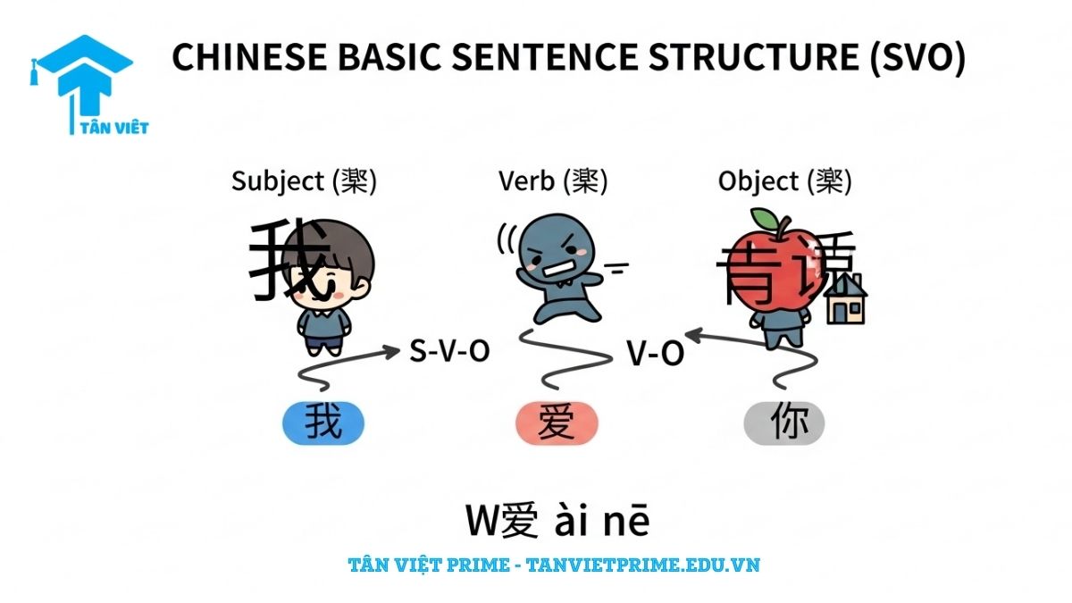 Infographic giải thích cấu trúc câu cơ bản SVO trong tiếng Trung, mô tả ba nhân vật chibi đại diện cho chủ ngữ, động từ, tân ngữ để làm rõ trật tự sắp xếp câu đơn giản nhất. Giúp người học đặt câu đúng ngữ pháp.
