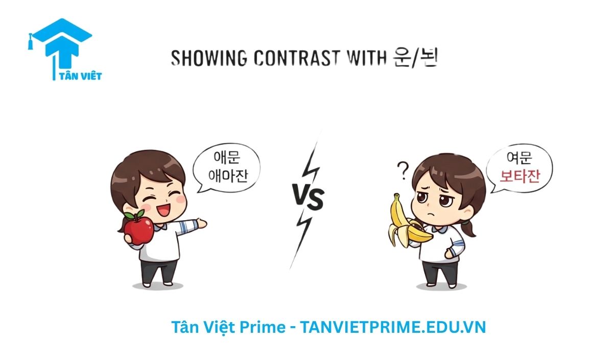 Hình ảnh minh họa chức năng so sánh của tiểu từ 은/는, mô tả một nhân vật chibi thể hiện thích táo (사과는) nhưng không thích chuối (바나나는) để làm rõ cách dùng 은/는 để tạo sự đối chiếu giữa hai chủ đề.