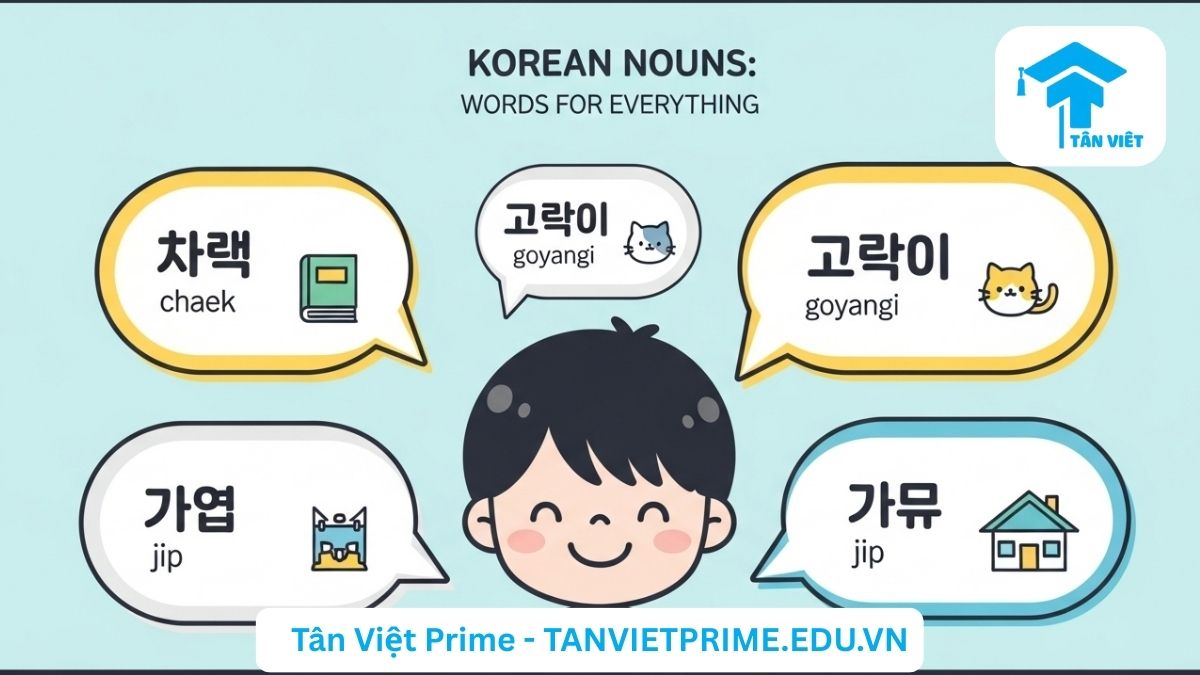 Infographic giải thích khái niệm danh từ trong tiếng Hàn (명사), mô tả một nhân vật chibi và các ví dụ về danh từ như sách (책), nhà (집) để làm rõ chức năng gọi tên sự vật của danh từ. Hướng dẫn học từ vựng tiếng Hàn cơ bản.