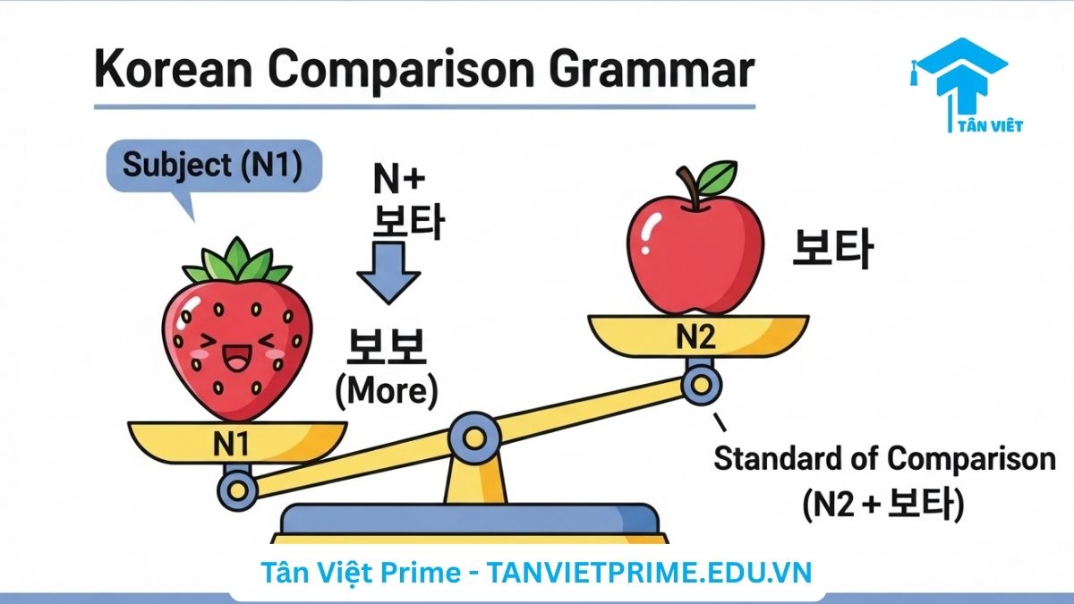 Infographic giải thích ngữ pháp tiếng Hàn N + 보다, mô tả một chiếc cân so sánh với quả dâu tây (N1) nặng hơn quả táo (N2) để làm rõ khái niệm "hơn". Hữu ích cho người học tiếng Hàn sơ cấp.