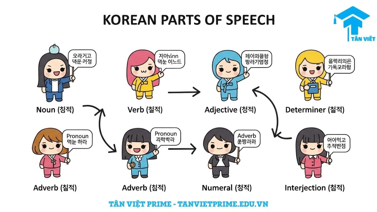 Infographic minh họa 9 loại từ chính trong ngữ pháp tiếng Hàn bằng các nhân vật chibi, mô tả vai trò và ví dụ của từng loại để làm rõ cấu tạo câu. Giúp người học nhận diện và phân loại từ hiệu quả.