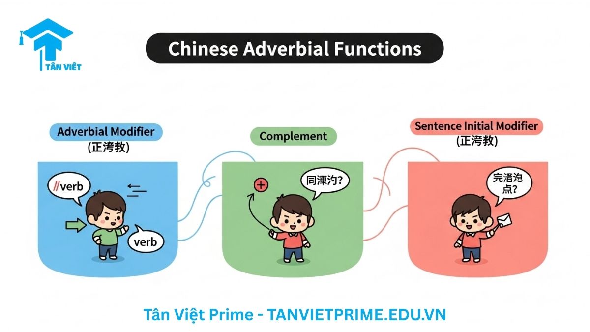 Phó Từ Trong Tiếng Trung Hiện Đại: Từ A-Z Định Nghĩa, Phân Loại & Cách Dùng 3 Infographic minh họa các chức năng ngữ pháp của phó từ tiếng Trung, mô tả các vai trò chính như trạng ngữ, bổ ngữ và thành phần tu sức đầu câu thông qua các nhân vật chibi động đáo, dễ hiểu, phong cách Hàn Quốc/Trung Quốc. Giúp người học nắm vững ngữ pháp tiếng Trung.