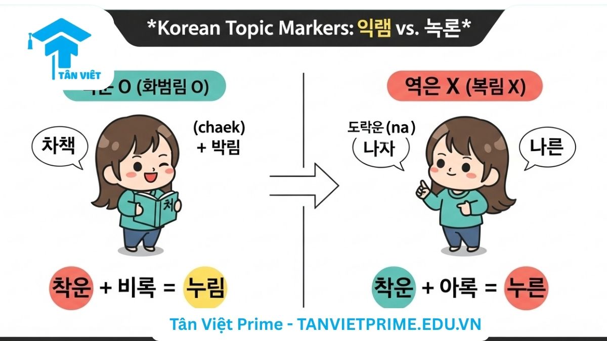 Infographic giải thích quy tắc cơ bản của tiểu từ chủ đề 은/는, mô tả hai nhân vật chibi minh họa cách chọn '은' cho danh từ có phụ âm cuối (책은) và '는' cho danh từ có nguyên âm cuối (나는) để làm rõ cách chia tiểu từ 은/는