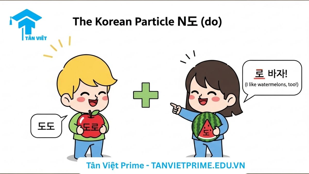 Infographic giải thích tiểu từ N도 tiếng Hàn, mô tả hai nhân vật chibi dễ thương, một người thích táo và người kia cũng thích dưa hấu để làm rõ ý nghĩa cốt lõi của '도' là 'cũng', thể hiện sự tương đồng hoặc bổ sung. Học cách dùng 도 cơ bản.