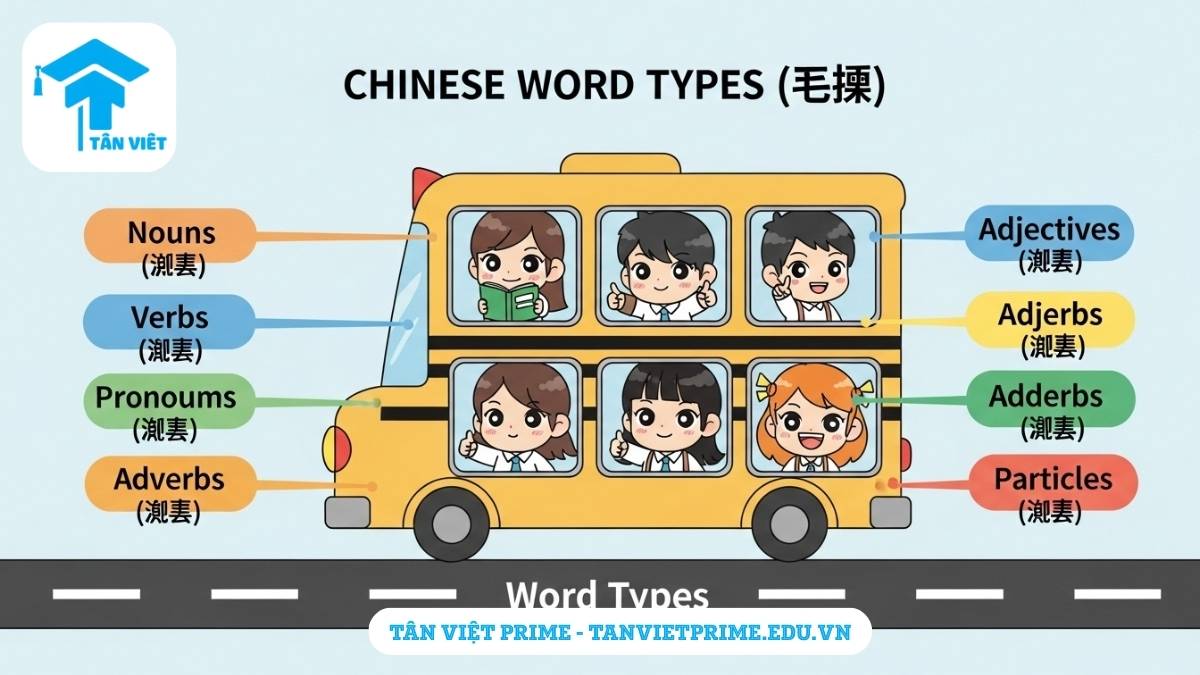 Infographic giải thích các loại từ trong ngữ pháp tiếng Trung, mô tả một xe buýt với các nhân vật chibi đại diện cho danh từ, động từ, tính từ... để làm rõ chức năng và phân loại từ. Giúp người học nhận diện và sử dụng từ loại hiệu quả.