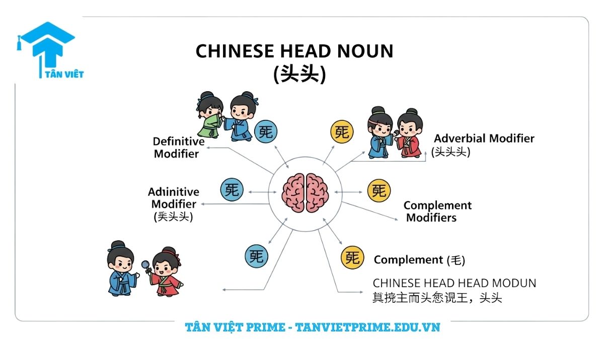 Infographic giải thích khái niệm trung tâm ngữ (中心语) trong ngữ pháp tiếng Trung, mô tả cấu trúc "đầu não" của cụm từ với các thành phần định ngữ, trạng ngữ và bổ ngữ, được minh họa bằng các nhân vật chibi đáng yêu. Giúp người học hình dung rõ ràng về vai trò cốt lõi của trung tâm ngữ.
