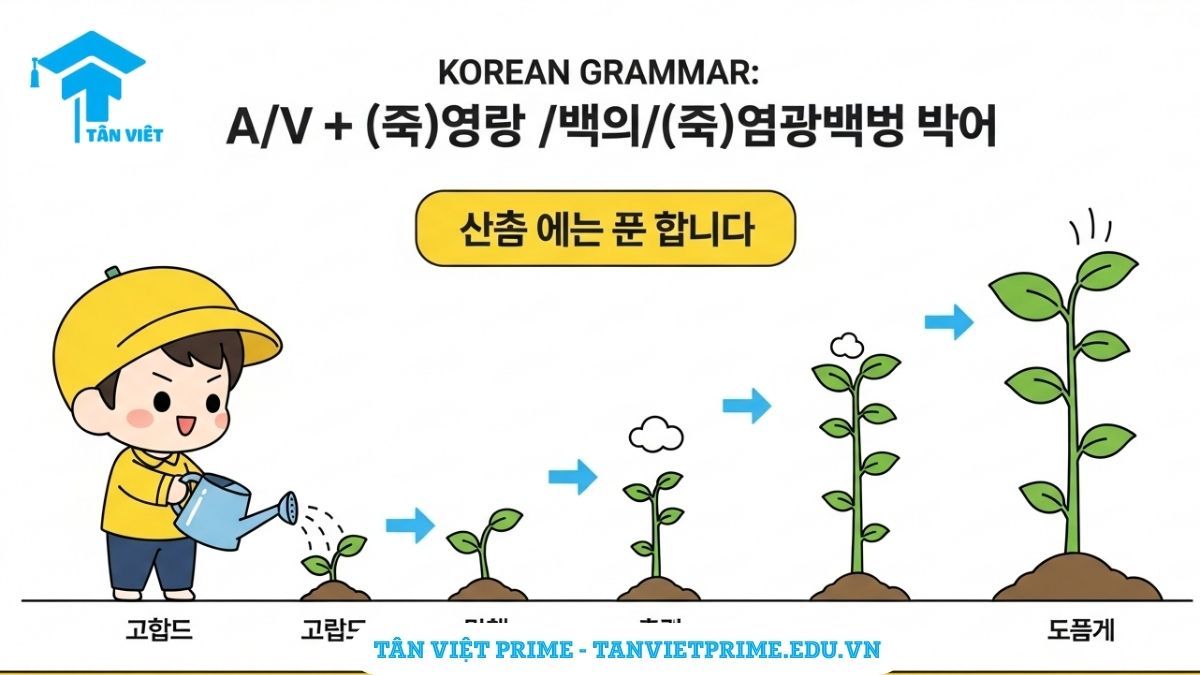 Ngữ pháp 만큼 A-Z: Làm chủ "Như, Bằng" & "Vì, Đến Mức" (Kèm so sánh & bài tập) 3 Sơ đồ infographic ngữ pháp (으)ㄴ/는/(으)ㄹ 만큼, mô tả một nhân vật chibi tưới cây, cây mọc cao tương ứng với lượng nước tưới, làm rõ ý nghĩa "bao nhiêu thì bấy nhiêu, đến mức".