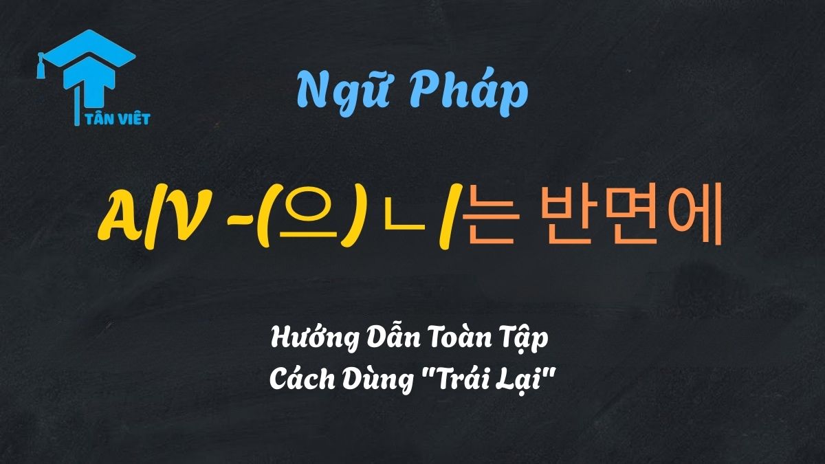 Ngữ Pháp A/V -(으)ㄴ/는 반면에: Hướng Dẫn Toàn Tập Cách Dùng "Trái Lại" 1 Hướng dẫn toàn tập ngữ pháp -(으)ㄴ/는 반면에 và cách dùng "Trái lại" - Tân Việt Prime