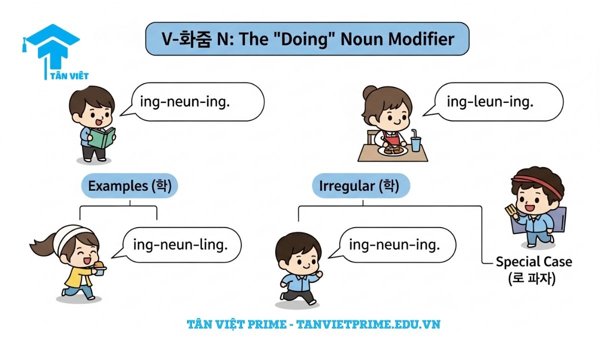 V-는 N: Toàn tập "Đang/Hay Làm" & Gỡ rối Bất Quy Tắc, 맛있다 2 Infographic giải thích ngữ pháp V-는 N (V-neun-N) tiếng Hàn, mô tả cách dùng động từ làm định ngữ thì hiện tại ("đang làm" hoặc "hay làm") với các ví dụ và phần bất quy tắc (ㄹ, 있다/없다).