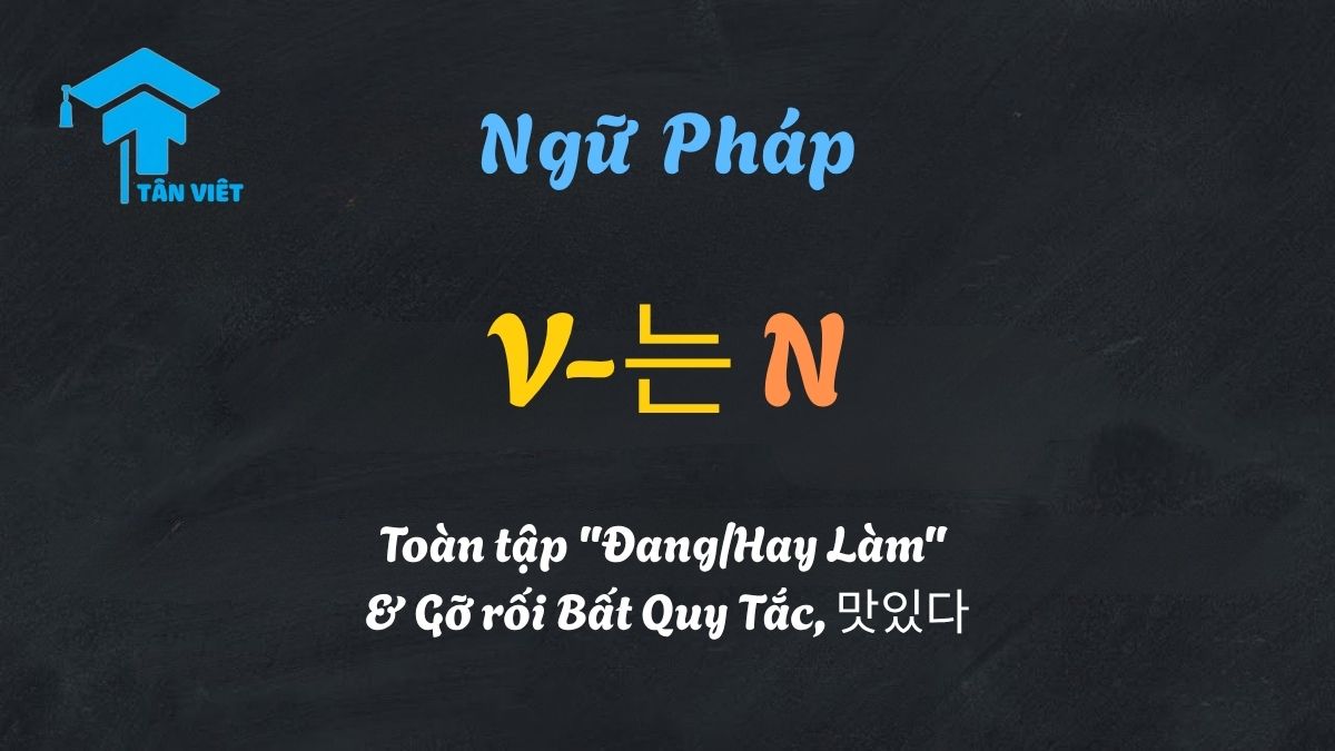 V-는 N: Toàn tập "Đang/Hay Làm" & Gỡ rối Bất Quy Tắc, 맛있다 1 Infographic tóm tắt ngữ pháp V-neun-N tiếng Hàn, giải thích cách dùng định ngữ "đang làm", "hay làm" và ví dụ về bất quy tắc như 맛있는.