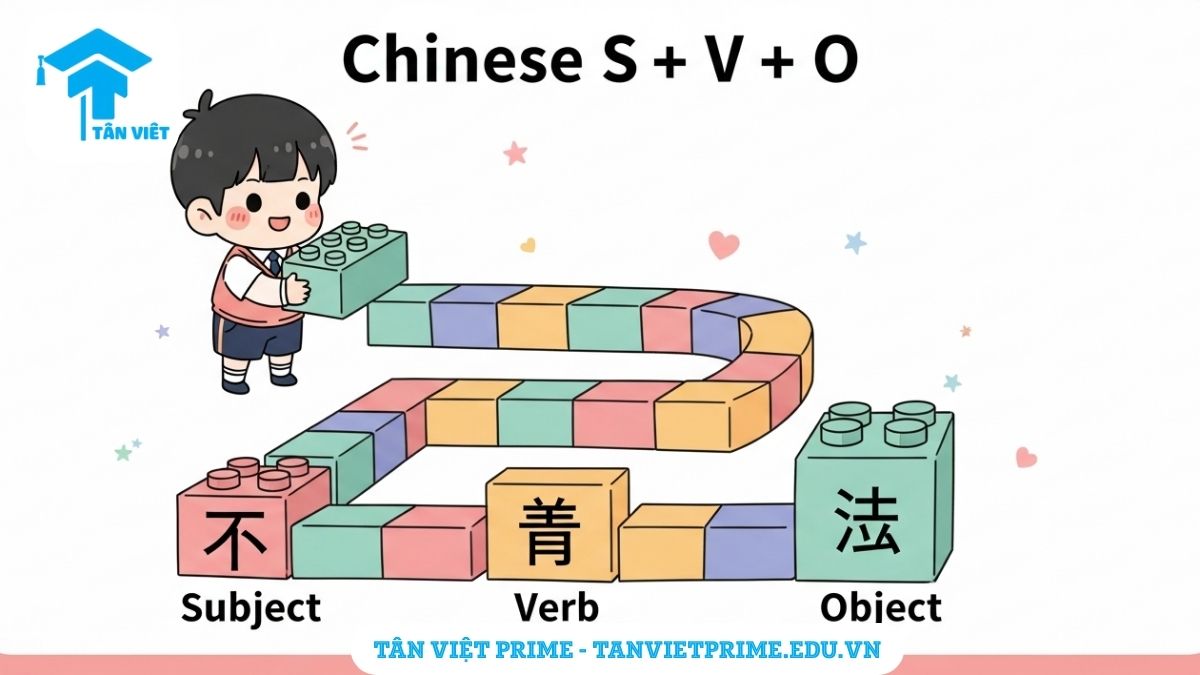 Infographic giải thích Cấu trúc câu tiếng Trung cơ bản (SVO), mô tả nhân vật chibi đang sắp xếp các khối từ vựng để làm rõ trật tự Chủ ngữ - Động từ - Tân ngữ. Giúp người mới bắt đầu học HSK 1 nắm vững ngữ pháp.