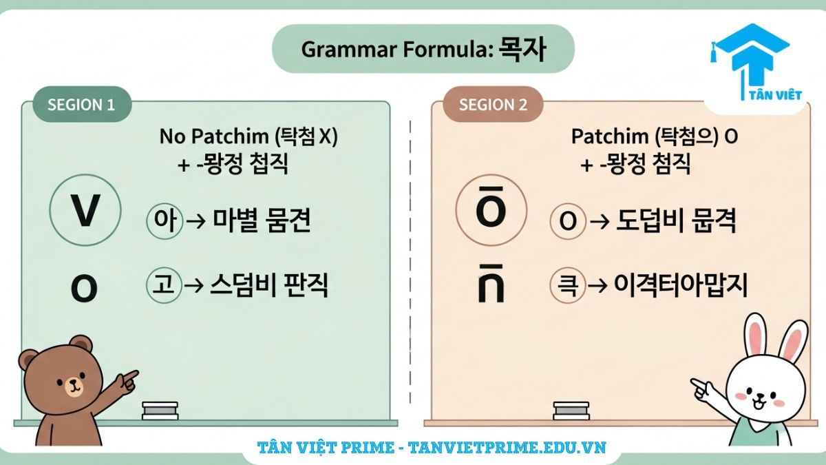 Ngữ Pháp V-(으)ㄹ 뻔하다: Toàn Tập Cách Dùng "Suýt Nữa Thì..." 3 Sơ đồ bảng công thức ngữ pháp tiếng Hàn "-(으)ㄹ 뻔하다", phân chia rõ ràng cách chia động từ có patchim và không có patchim kèm ví dụ minh họa, giúp người học dễ dàng ghi nhớ quy tắc ngữ pháp.