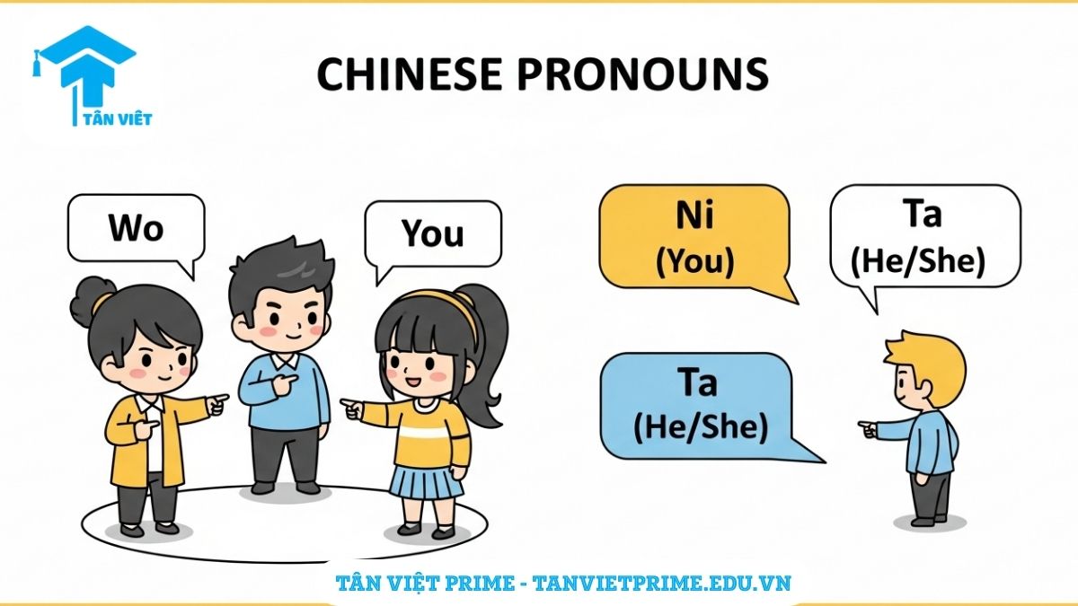 Hình ảnh minh họa Đại từ nhân xưng tiếng Trung, mô tả nhóm bạn chibi đang giao tiếp để làm rõ cách dùng Wo (Tôi), Ni (Bạn), Ta (Anh ấy/Cô ấy). Tổng hợp kiến thức đại từ HSK 1 dễ nhớ.