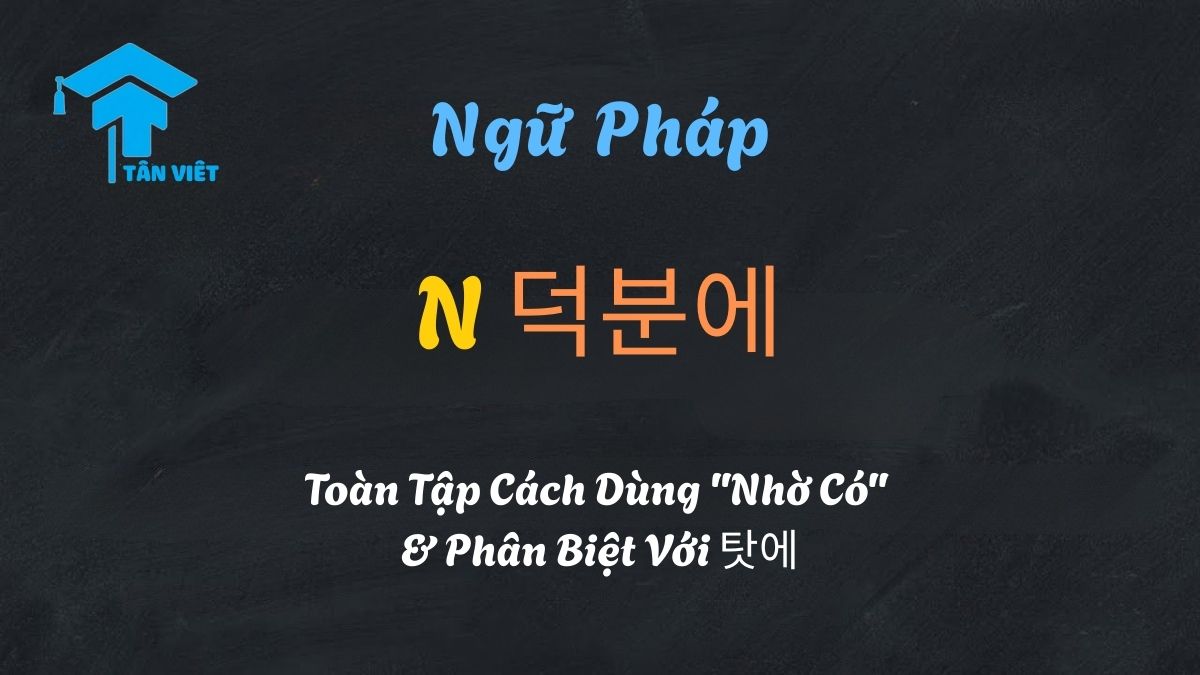 Ngữ pháp N 덕분에: Toàn Tập Cách Dùng "Nhờ Có" & Phân Biệt Với 탓에 1 Ngữ pháp tiếng Hàn N 덕분에: Cách dùng cấu trúc Nhờ có và phân biệt với 탓에 - Tân Việt Prime