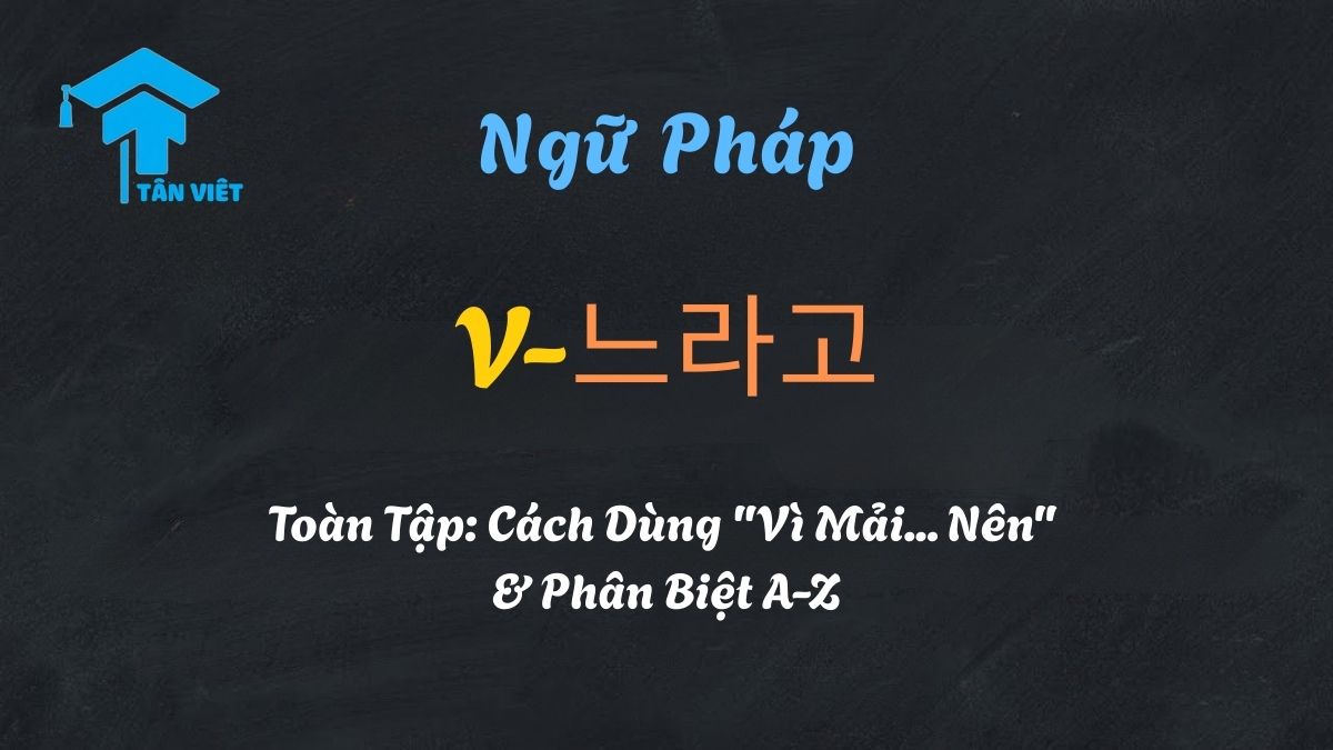 Ngữ Pháp V-느라고 Toàn Tập: Cách Dùng "Vì Mải... Nên" & Phân Biệt A-Z 1 Tổng hợp ngữ pháp V-느라고: Cấu trúc, cách chia động từ và ví dụ minh họa chi tiết - Tân Việt Prime