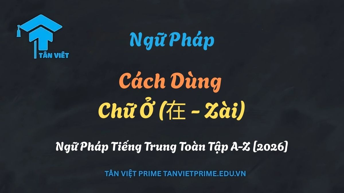 Cách dùng chữ Ở (在 - Zài) trong ngữ pháp tiếng Trung toàn tập - Tân Việt Prime.
