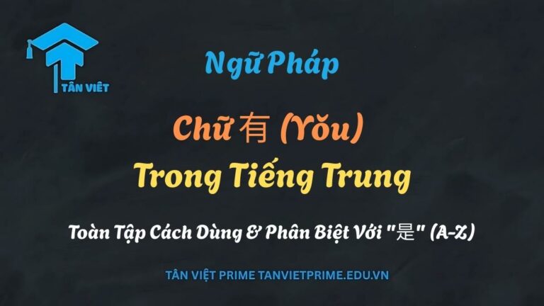 Chữ 有 (Yǒu) Trong Tiếng Trung: Cấu Trúc, Ngữ Pháp & Cách Dùng A-Z